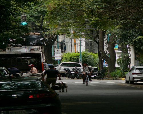 Mujer revisando su celular en el transporte urbano durante un taco